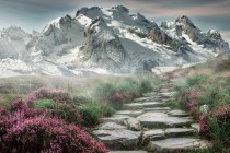 兔宝宝历险记技能？兔宝宝历险记技能怎么用？